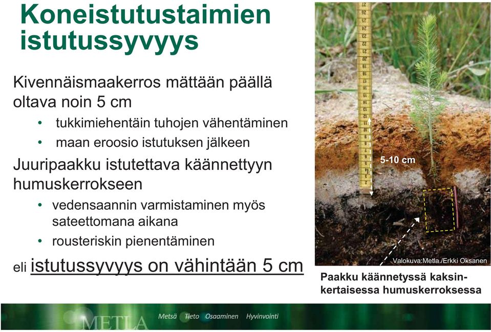 humuskerrokseen vedensaannin varmistaminen myös sateettomana aikana rousteriskin pienentäminen eli