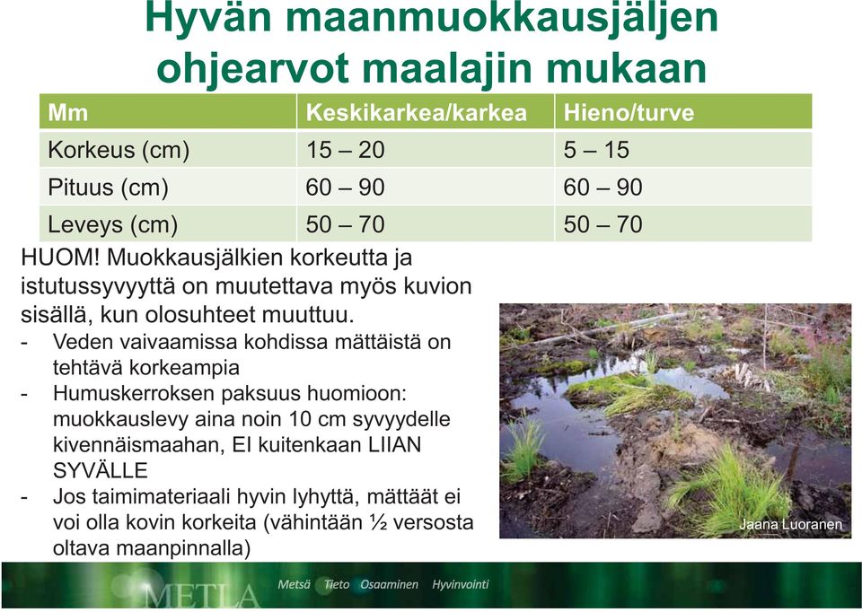 - Veden vaivaamissa kohdissa mättäistä on tehtävä korkeampia - Humuskerroksen paksuus huomioon: muokkauslevy aina noin 10 cm syvyydelle