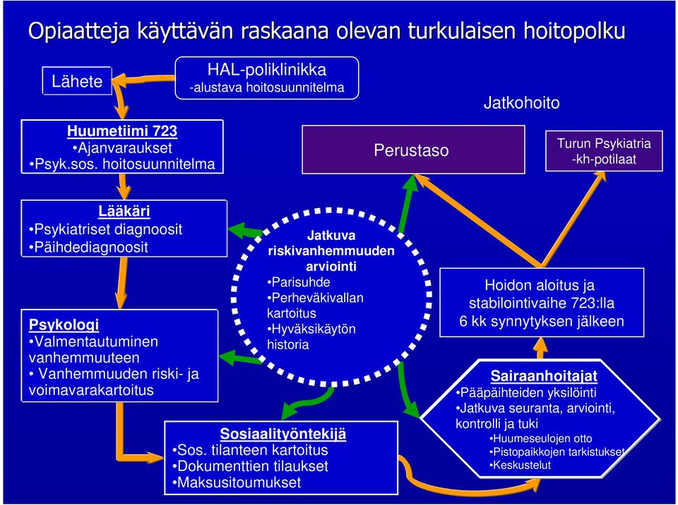 Valmentautuminen vanhemmuuteen Vanhemmuuden riski- ja voimavarakartoitus Jatkuva riskivanhemmuuden arviointi Parisuhde Perheväkivallan kartoitus Hyväksikäytön historia Sosiaalityöntekijä