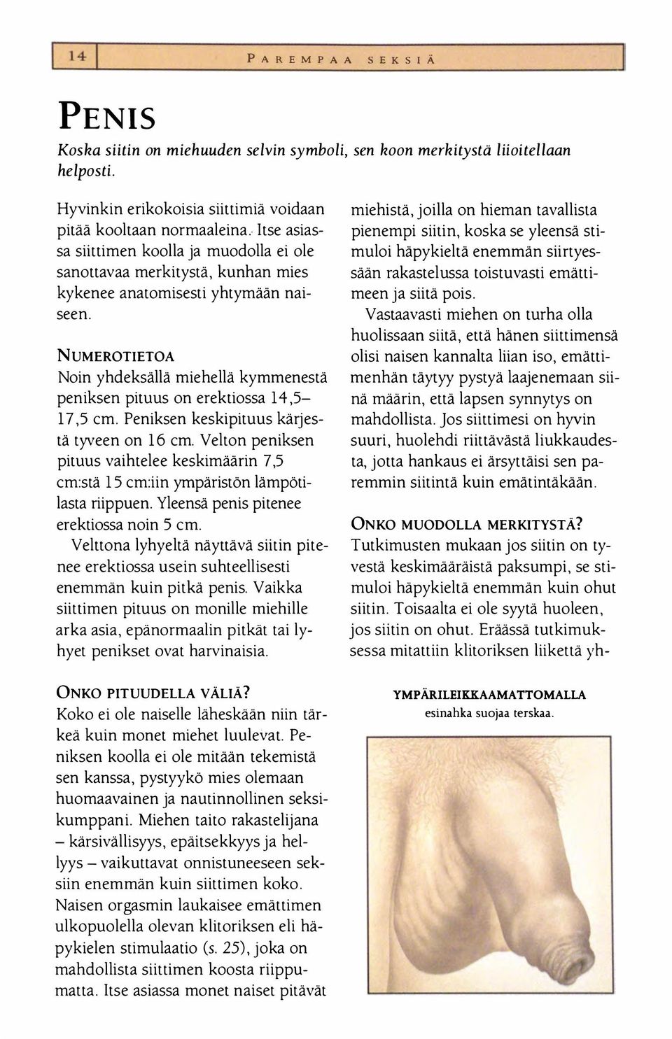 naisen klitoris rintsikoiden koko naisen klitoris rintsikoiden koko