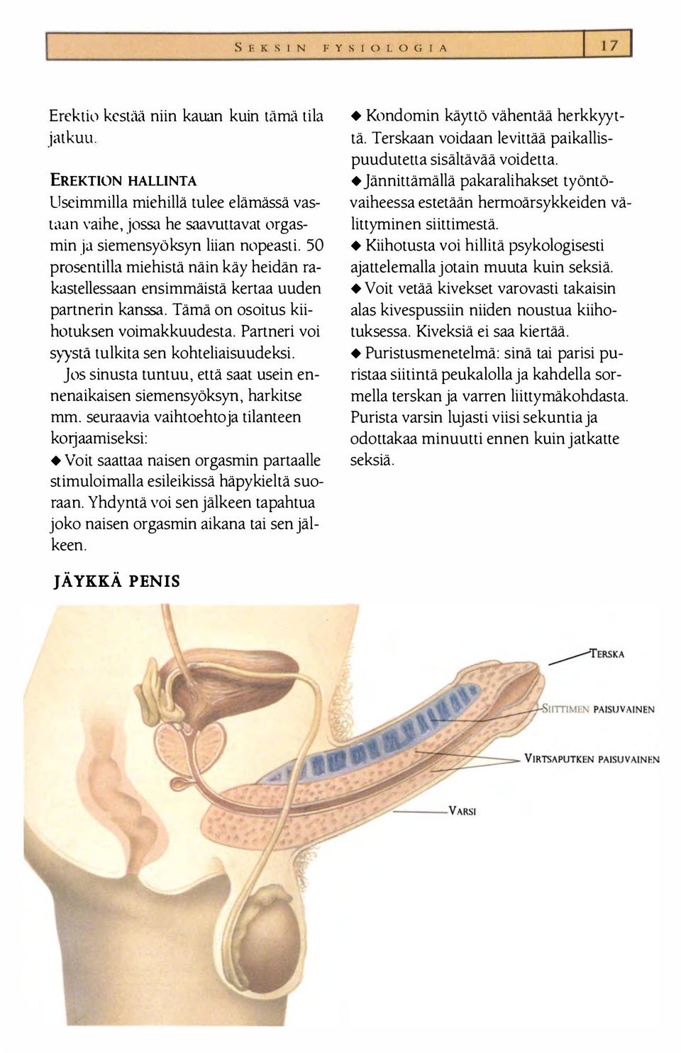 Partneri voi syyst ä tulkita sen kohteliaisuudeksi. jos sinusta tuntuu, että saat usein ennenaikaisen siemensyöksy n, harkitse mm.