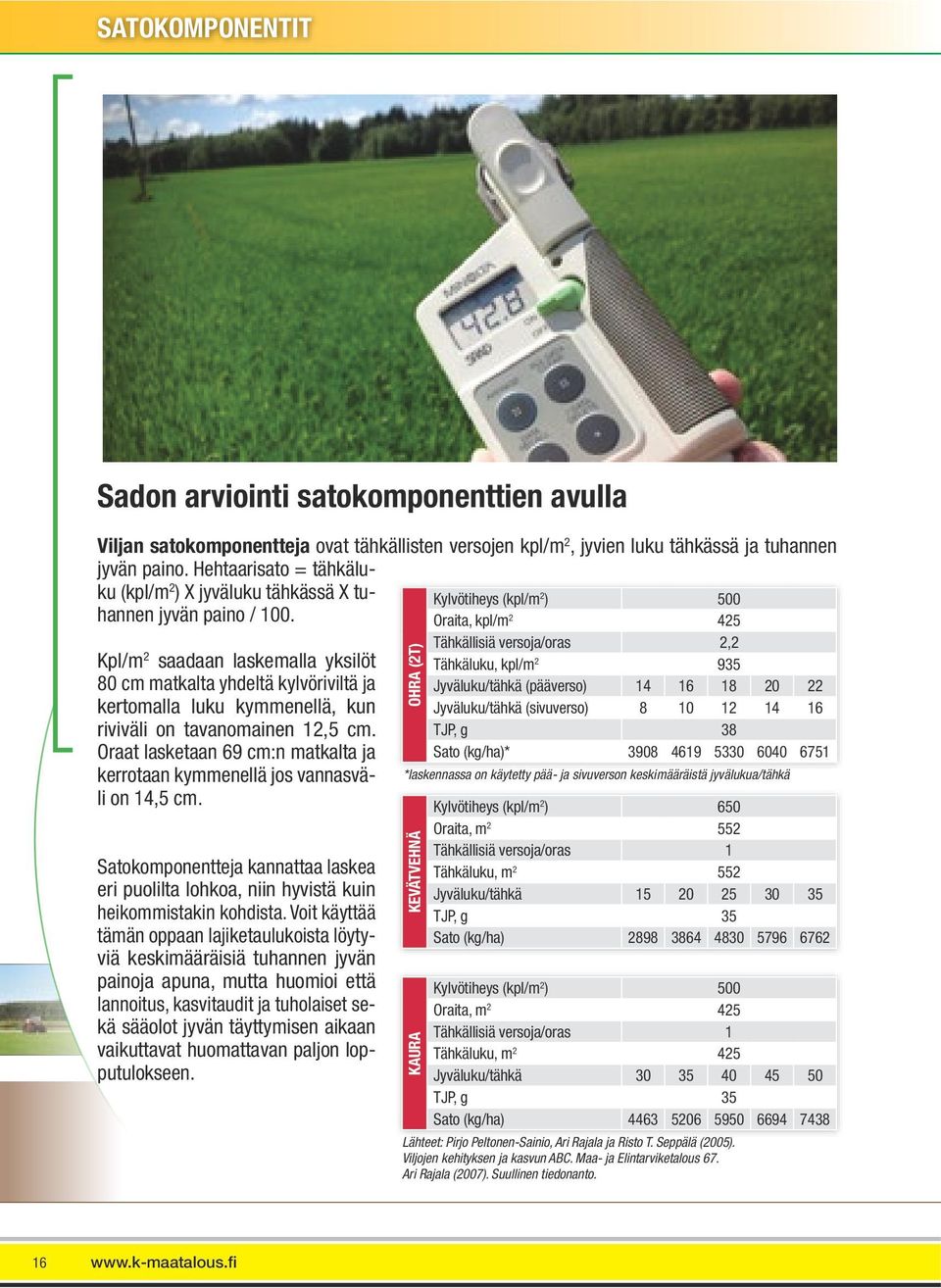 Kpl/m 2 saadaan laskemalla yksilöt 80 cm matkalta yhdeltä kylvöriviltä ja kertomalla luku kymmenellä, kun riviväli on tavanomainen 12,5 cm.