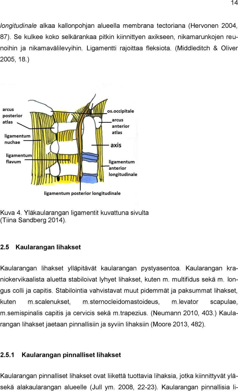 Kaularangan kraniokervikaalista aluetta stabiloivat lyhyet lihakset, kuten m. multifidus sekä m. longus colli ja capitis. Stabilointia vahvistavat muut pidemmät ja paksummat lihakset, kuten m.