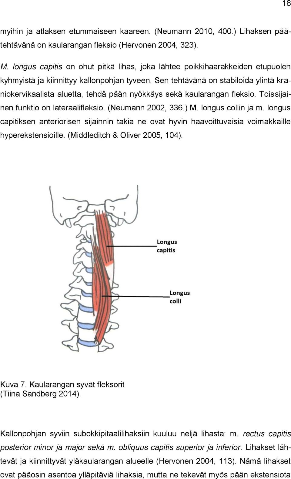 Sen tehtävänä on stabiloida ylintä kraniokervikaalista aluetta, tehdä pään nyökkäys sekä kaularangan fleksio. Toissijainen funktio on lateraalifleksio. (Neumann 2002, 336.) M. longus collin ja m.