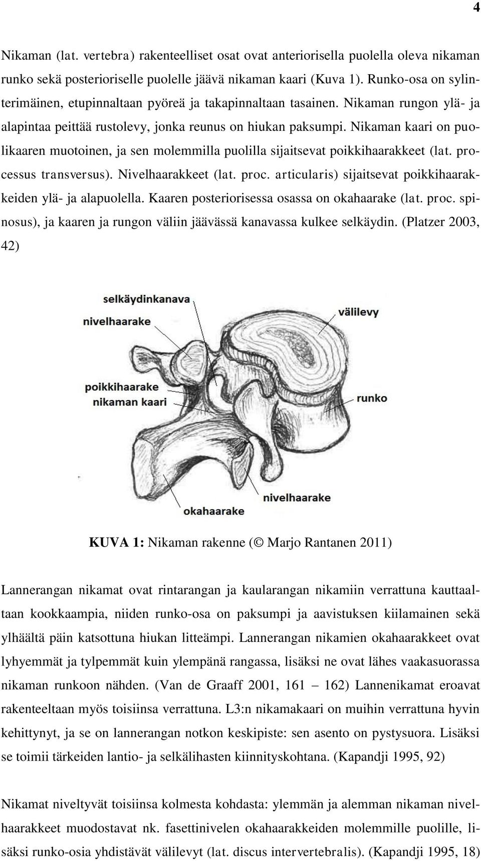 Nikaman kaari on puolikaaren muotoinen, ja sen molemmilla puolilla sijaitsevat poikkihaarakkeet (lat. processus transversus). Nivelhaarakkeet (lat. proc. articularis) sijaitsevat poikkihaarakkeiden ylä- ja alapuolella.