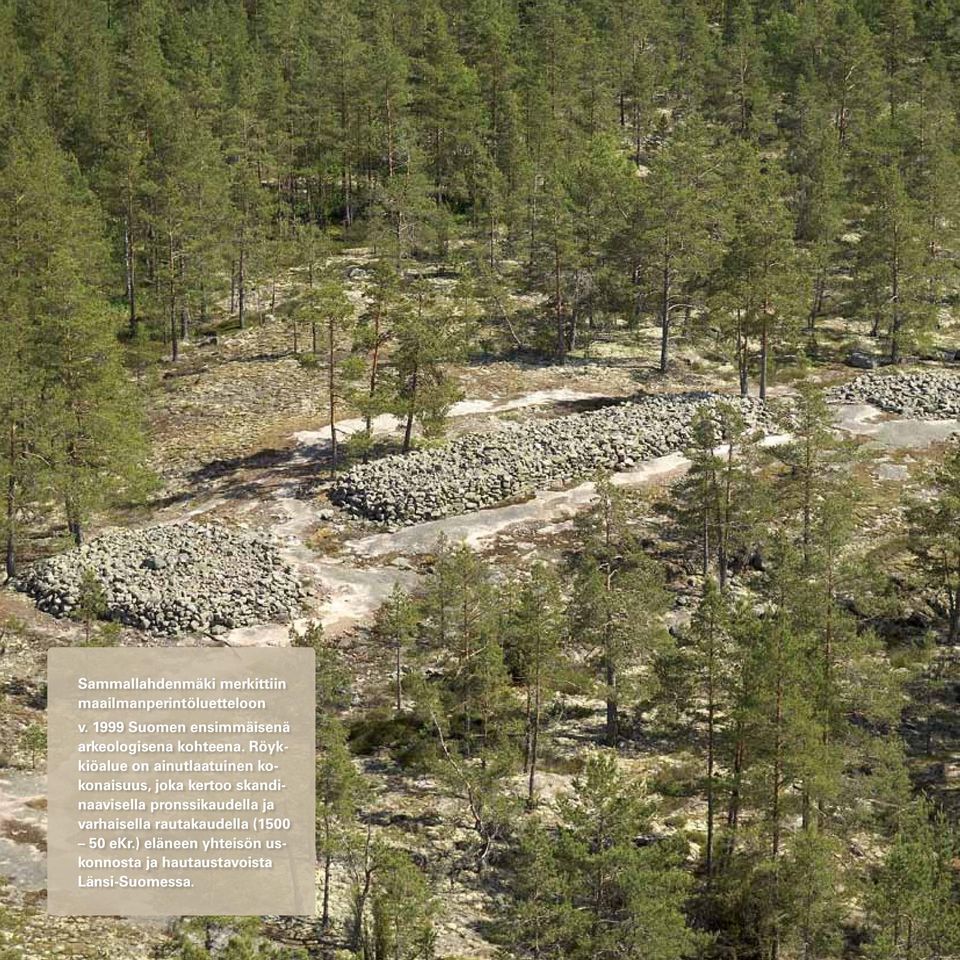 Röykkiöalue on ainutlaatuinen kokonaisuus, joka kertoo skandinaavisella