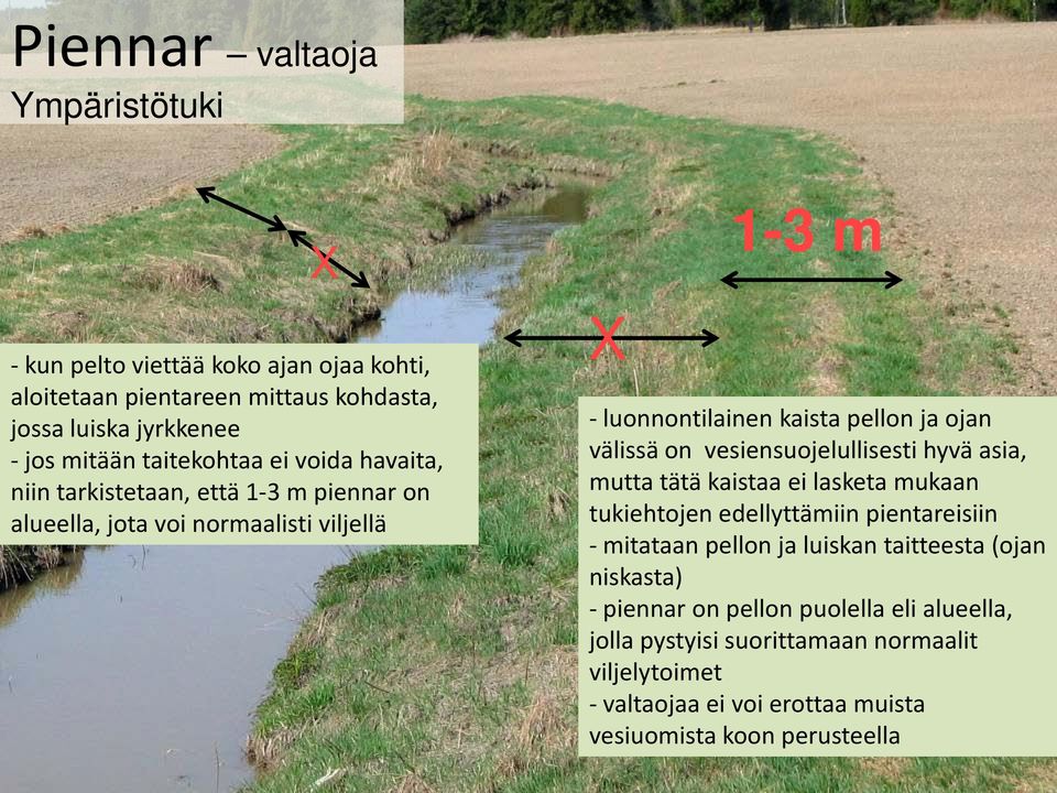vesiensuojelullisesti hyvä asia, mutta tätä kaistaa ei lasketa mukaan tukiehtojen edellyttämiin pientareisiin - mitataan pellon ja luiskan taitteesta (ojan