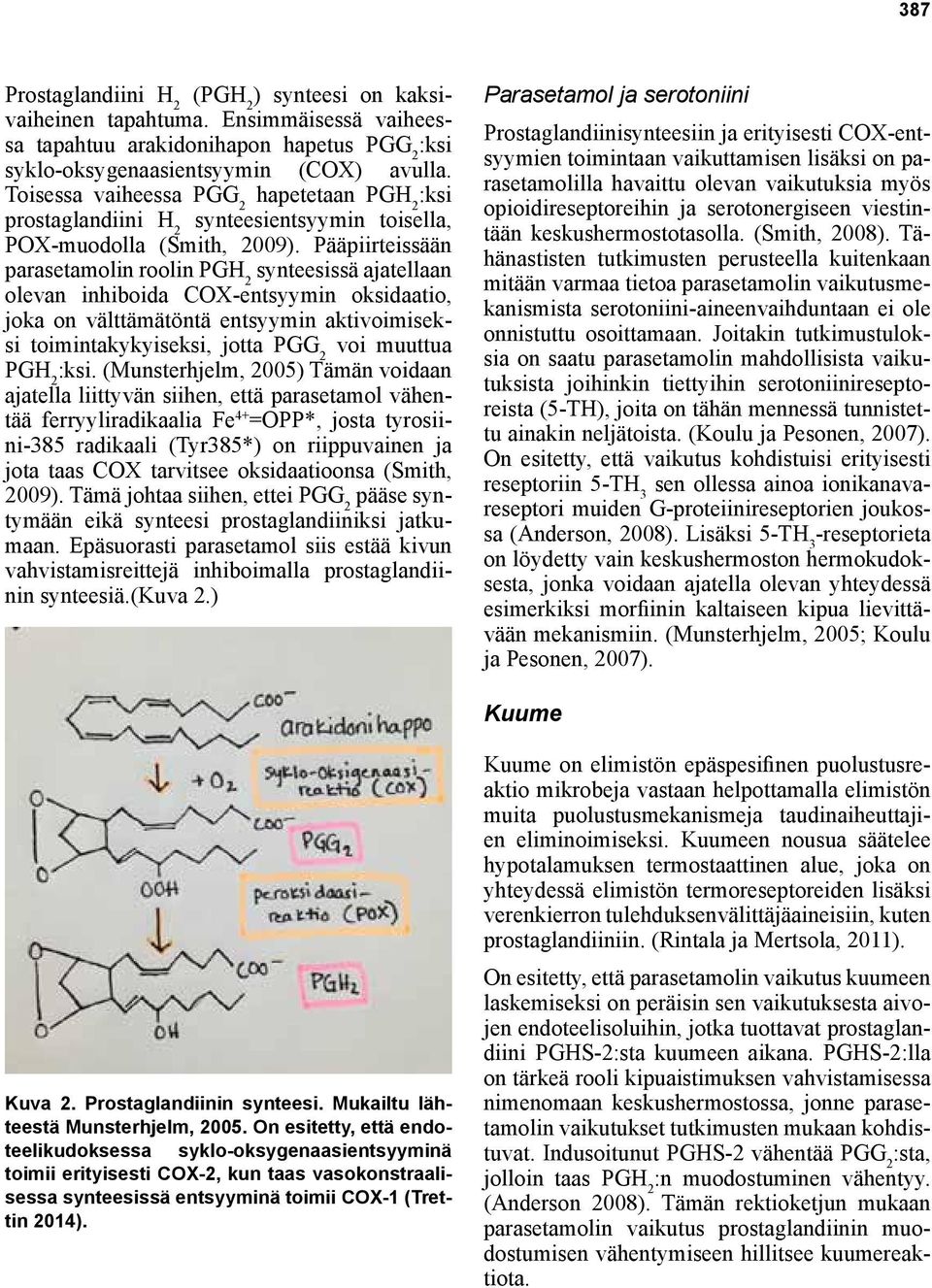 Pääpiirteissään parasetamolin roolin PGH 2 synteesissä ajatellaan olevan inhiboida COX-entsyymin oksidaatio, joka on välttämätöntä entsyymin aktivoimiseksi toimintakykyiseksi, jotta PGG 2 voi muuttua