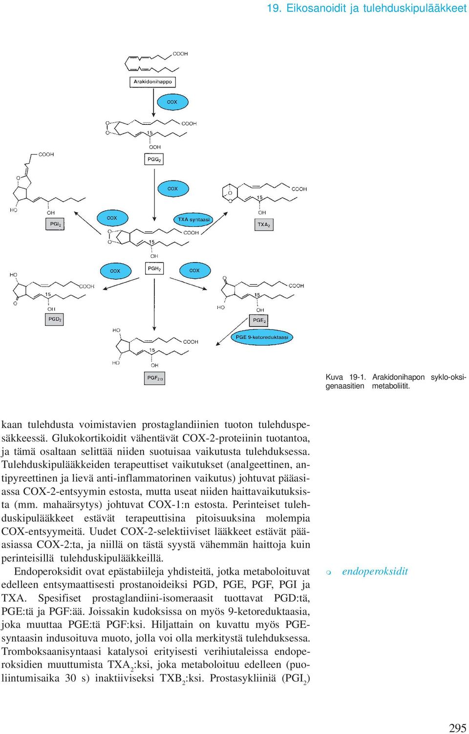 Tulehduskipulääkkeiden terapeuttiset vaikutukset (analgeettinen, antipyreettinen ja lievä anti-inflammatorinen vaikutus) johtuvat pääasiassa COX-2-entsyymin estosta, mutta useat niiden