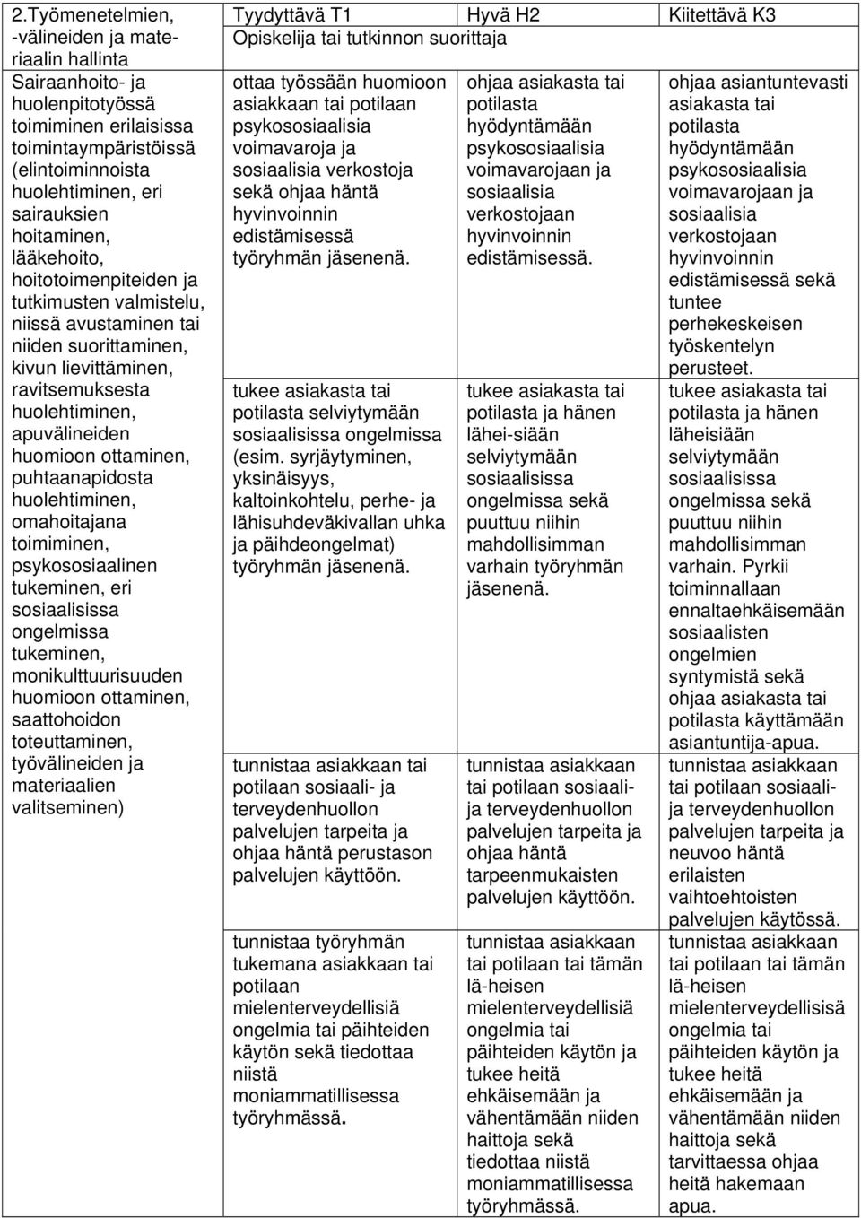 huolehtiminen, omahoitajana toimiminen, psykososiaalinen tukeminen, eri sosiaalisissa ongelmissa tukeminen, monikulttuurisuuden huomioon ottaminen, saattohoidon toteuttaminen, työvälineiden ja