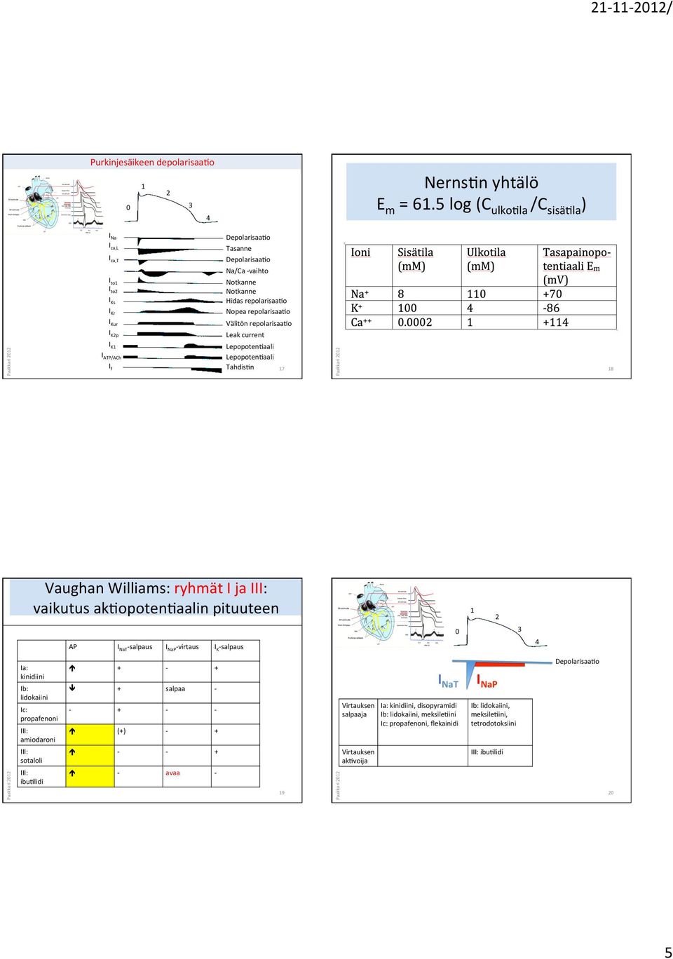 repolarisaaco Leak current I K1 I ATP/ACh I f LepopotenCaali LepopotenCaali TahdisCn 17 18 Vaughan Williams: ryhmät I ja III: vaikutus akcopotencaalin pituuteen AP I NaT - salpaus I NaP - virtaus I K