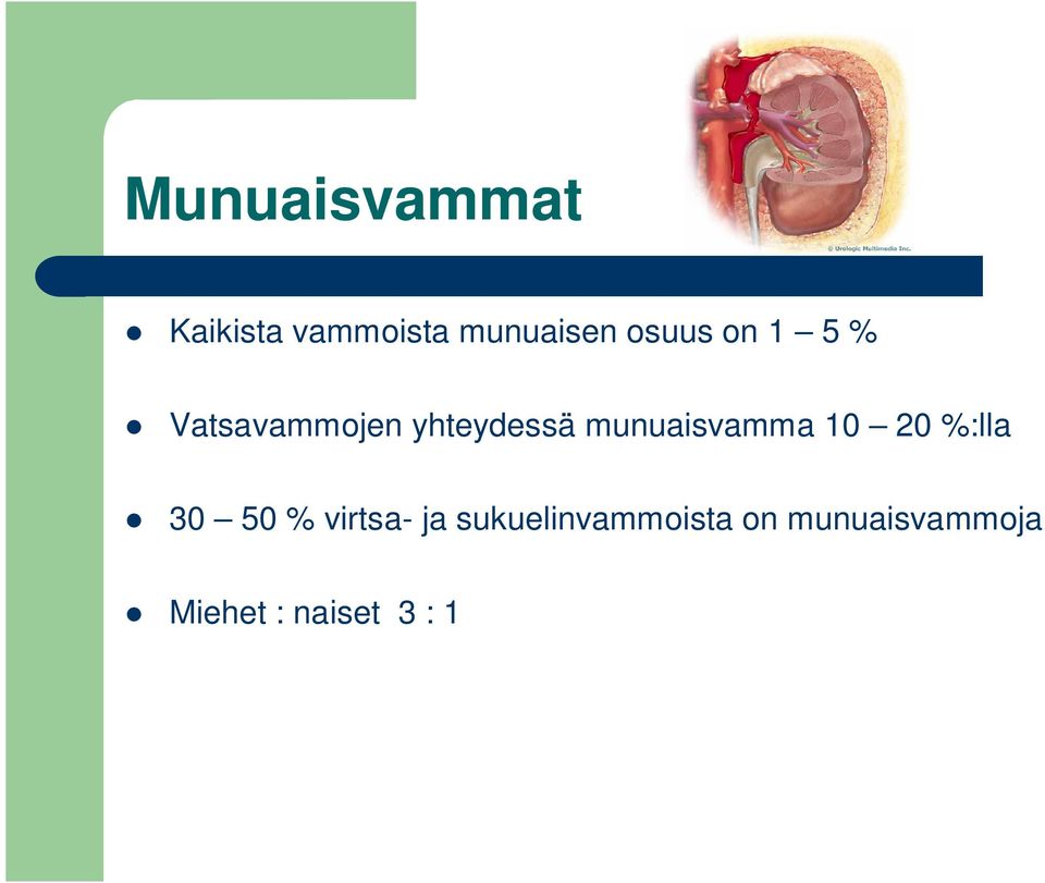 munuaisvamma 10 20 %:lla 30 50 % virtsa- ja