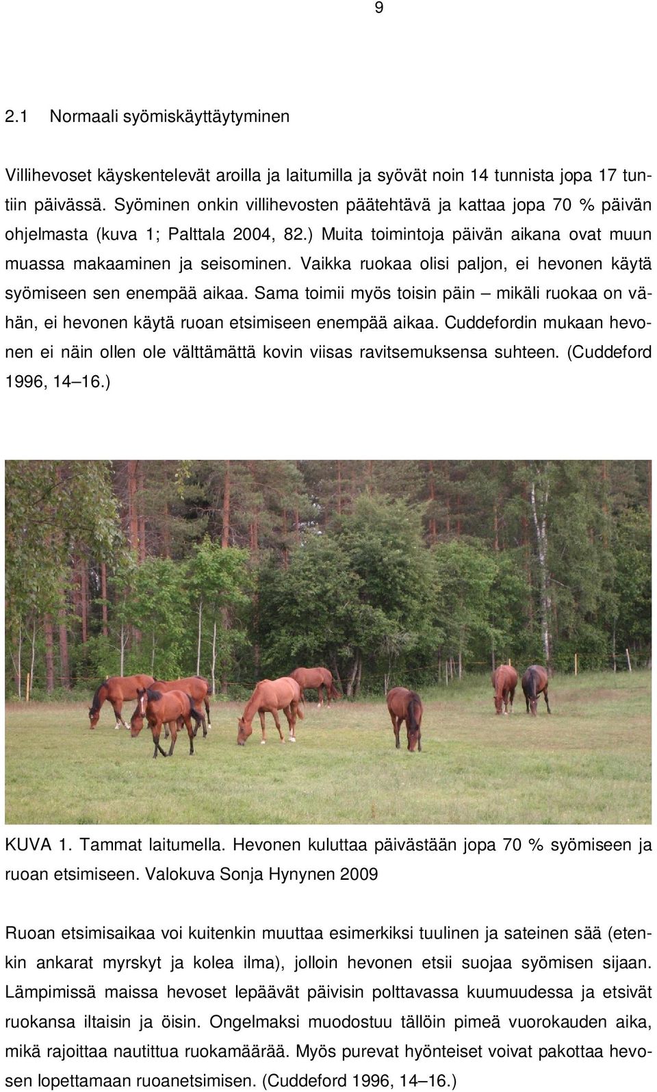 Vaikka ruokaa olisi paljon, ei hevonen käytä syömiseen sen enempää aikaa. Sama toimii myös toisin päin mikäli ruokaa on vähän, ei hevonen käytä ruoan etsimiseen enempää aikaa.