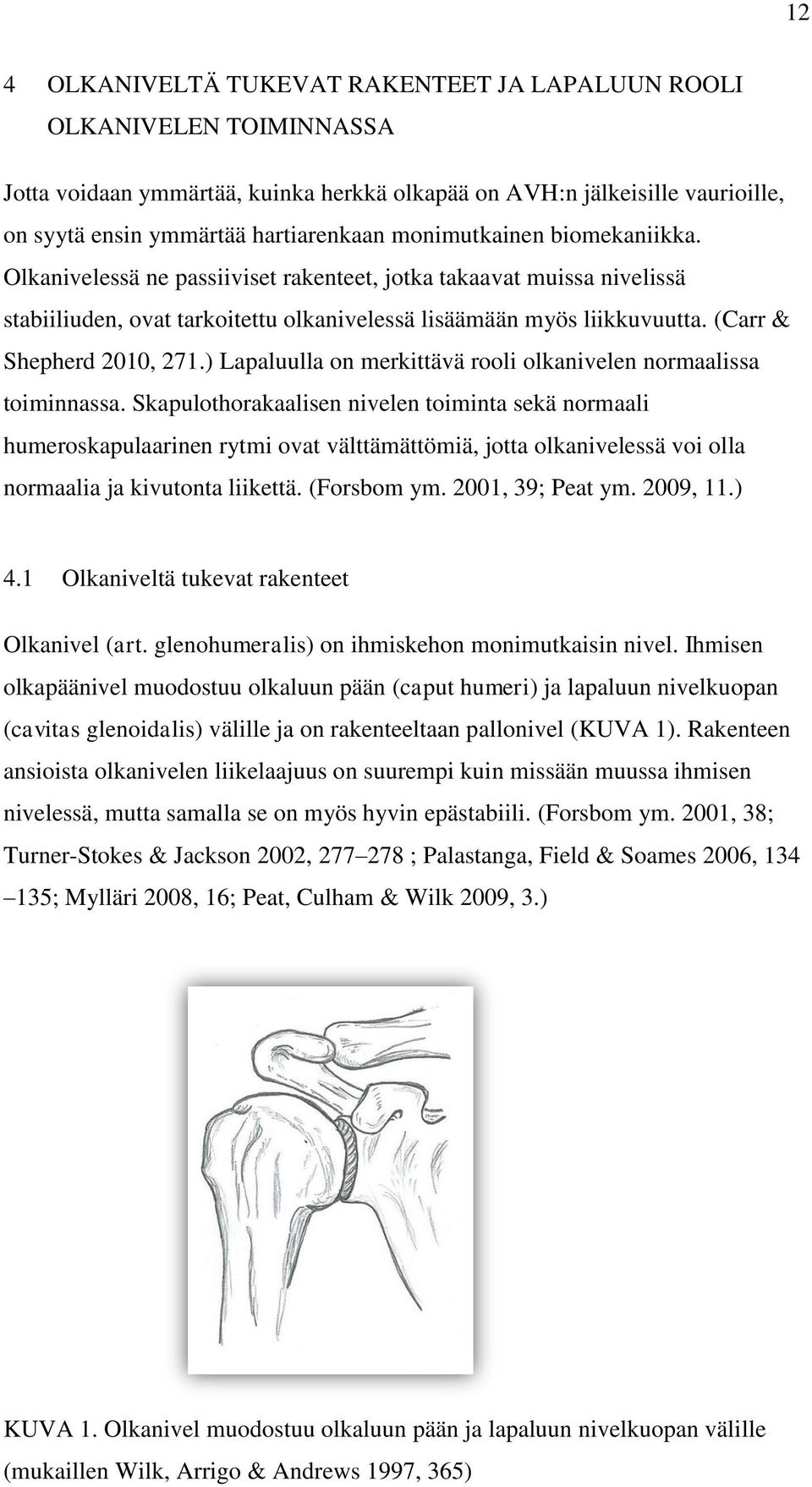 (Carr & Shepherd 2010, 271.) Lapaluulla on merkittävä rooli olkanivelen normaalissa toiminnassa.