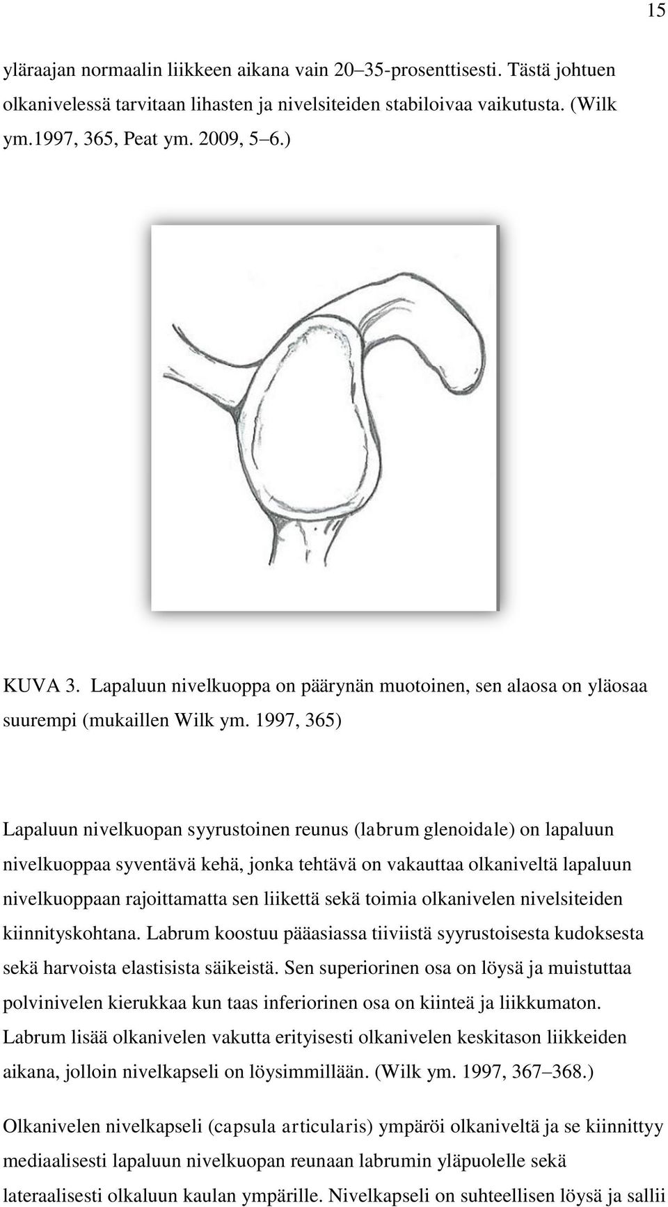 1997, 365) Lapaluun nivelkuopan syyrustoinen reunus (labrum glenoidale) on lapaluun nivelkuoppaa syventävä kehä, jonka tehtävä on vakauttaa olkaniveltä lapaluun nivelkuoppaan rajoittamatta sen