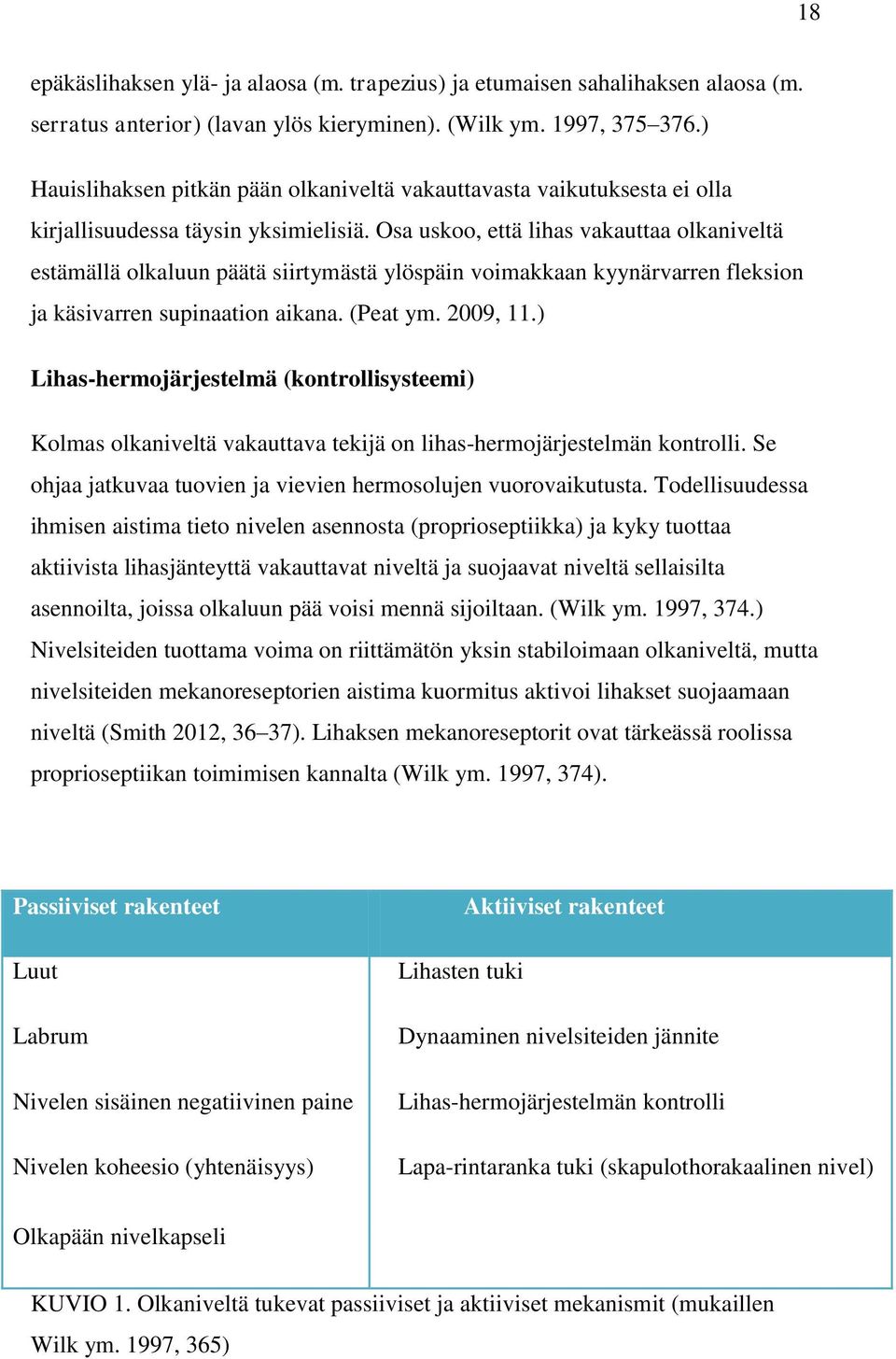 Osa uskoo, että lihas vakauttaa olkaniveltä estämällä olkaluun päätä siirtymästä ylöspäin voimakkaan kyynärvarren fleksion ja käsivarren supinaation aikana. (Peat ym. 2009, 11.