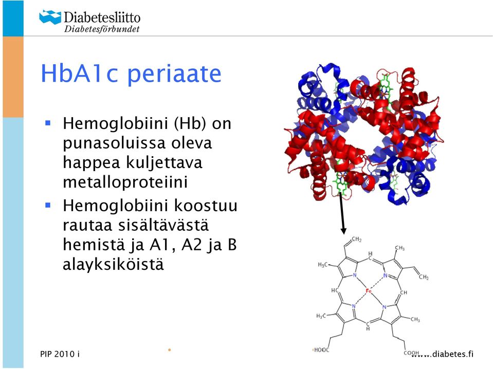 metalloproteiini Hemoglobiini koostuu