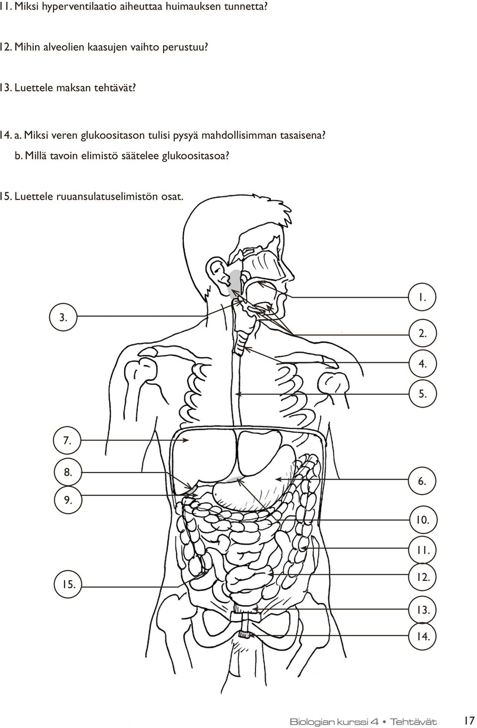 b. Millä tavoin elimistö säätelee glukoositasoa? 15. Luettele ruuansulatuselimistön osat. 3. 1. 2.