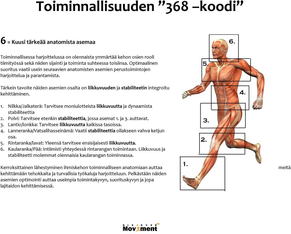 Tärkein tavoite näiden asemien osalta on liikkuvuuden ja stabiliteetin integroitu kehittäminen. 1. Nilkka/Jalkaterä: Tarvitsee moniulotteista liikkuvuutta ja dynaamista stabiliteettia 2.