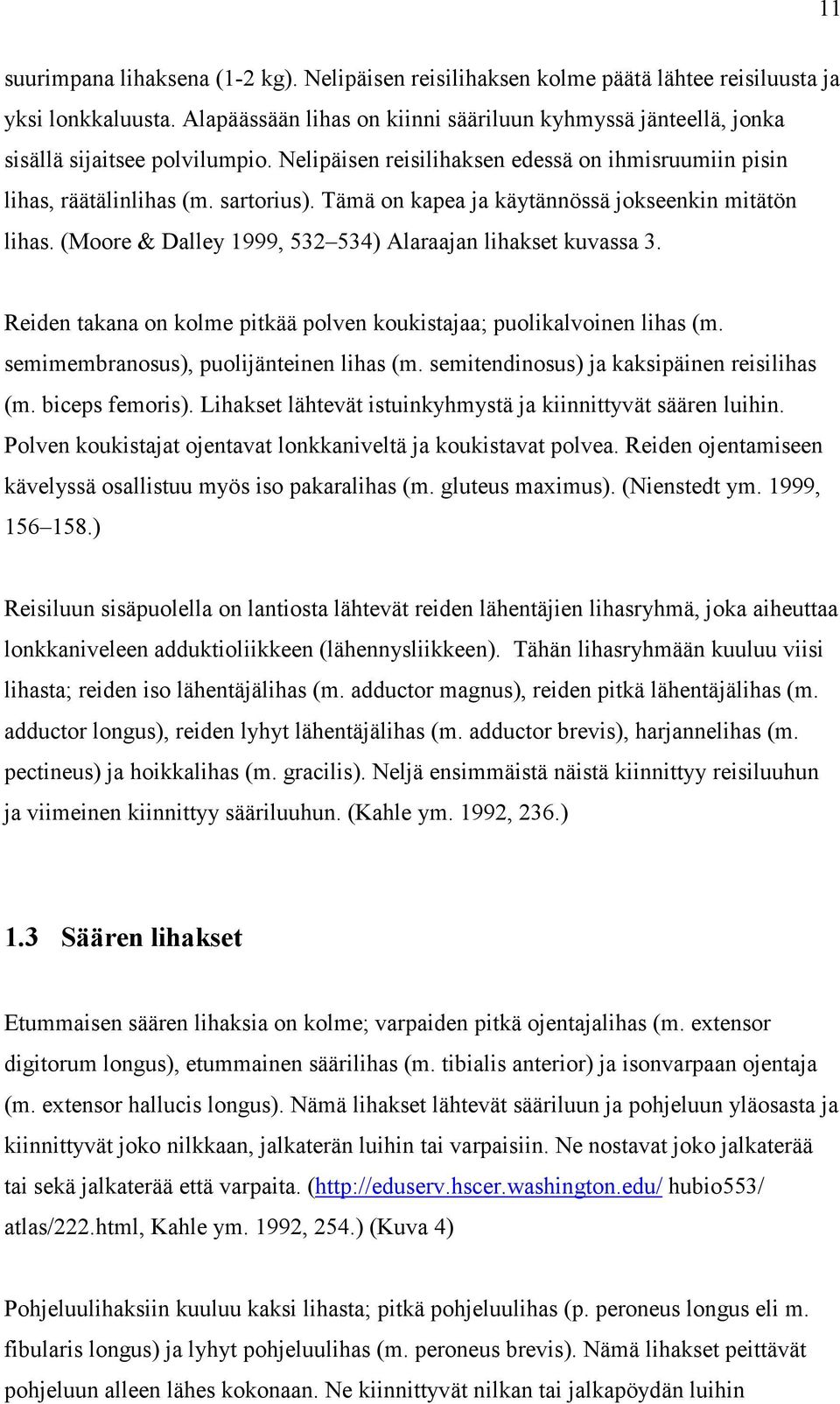 Tämä on kapea ja käytännössä jokseenkin mitätön lihas. (Moore & Dalley 1999, 532 534) Alaraajan lihakset kuvassa 3. Reiden takana on kolme pitkää polven koukistajaa; puolikalvoinen lihas (m.