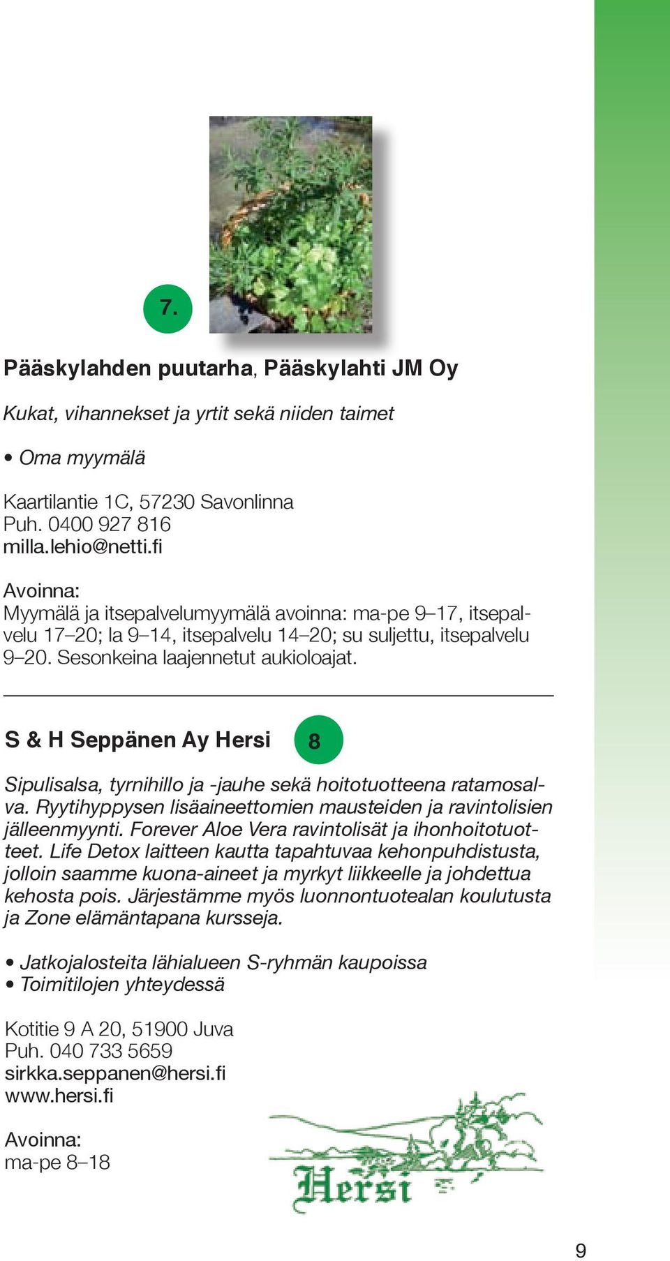 S & H Seppänen Ay Hersi 8 Sipulisalsa, tyrnihillo ja -jauhe sekä hoitotuotteena ratamosalva. Ryytihyppysen lisäaineettomien mausteiden ja ravintolisien jälleenmyynti.