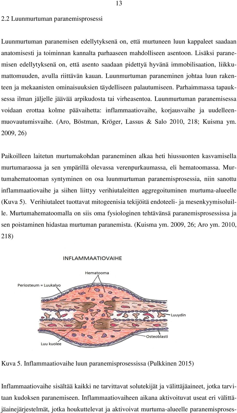 Luunmurtuman paraneminen johtaa luun rakenteen ja mekaanisten ominaisuuksien täydelliseen palautumiseen. Parhaimmassa tapauksessa ilman jäljelle jäävää arpikudosta tai virheasentoa.