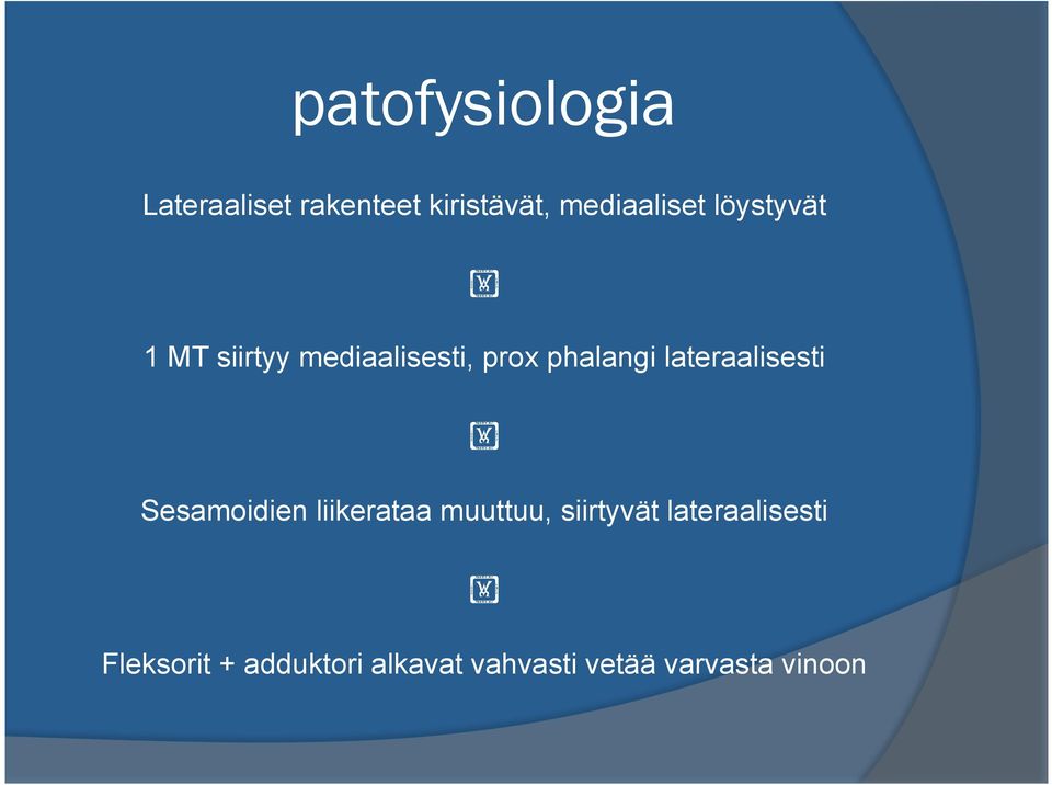 lateraalisesti Sesamoidien liikerataa muuttuu, siirtyvät