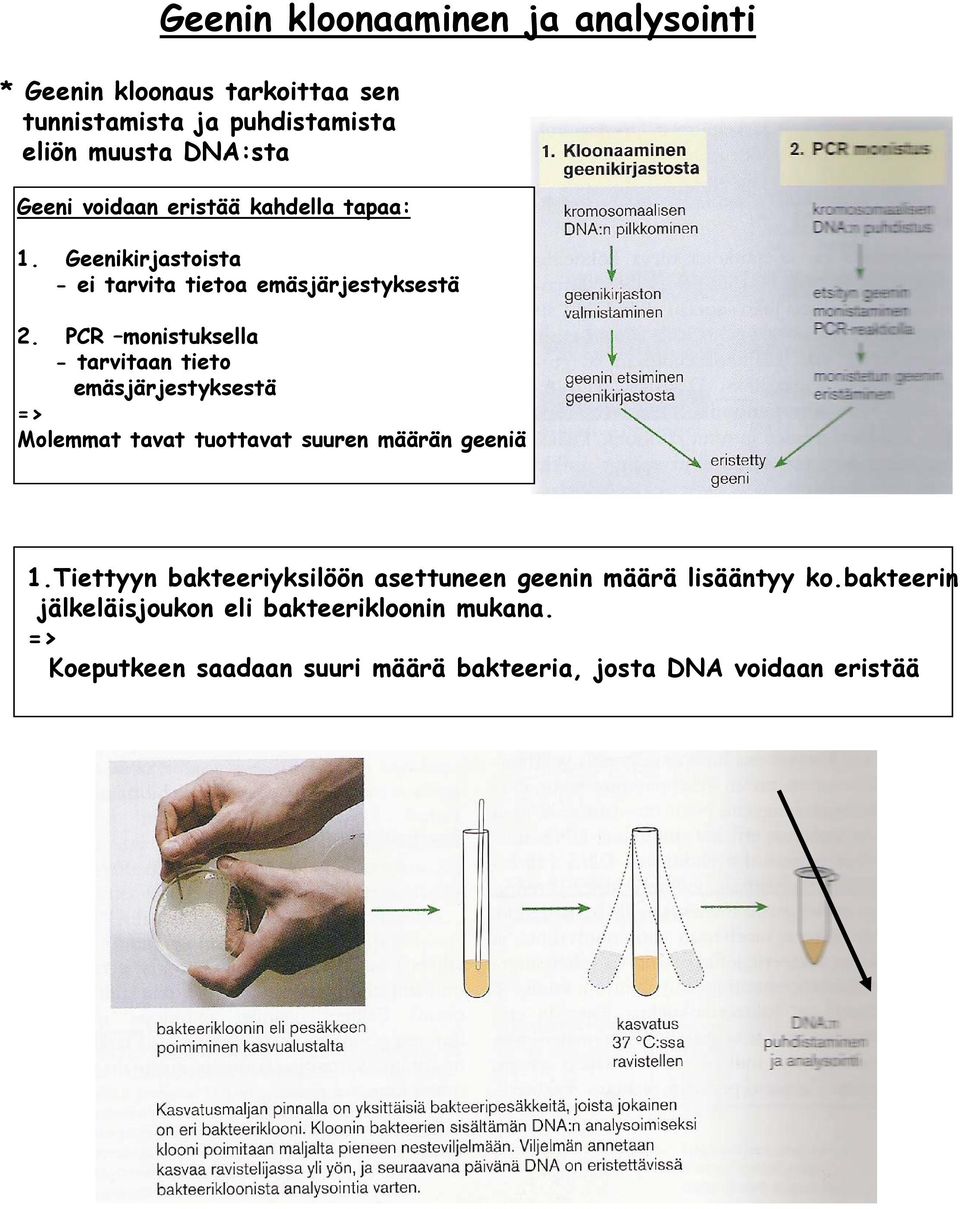 PCR monistuksella - tarvitaan tieto emäsjärjestyksestä => Molemmat tavat tuottavat suuren määrän geeniä 1.