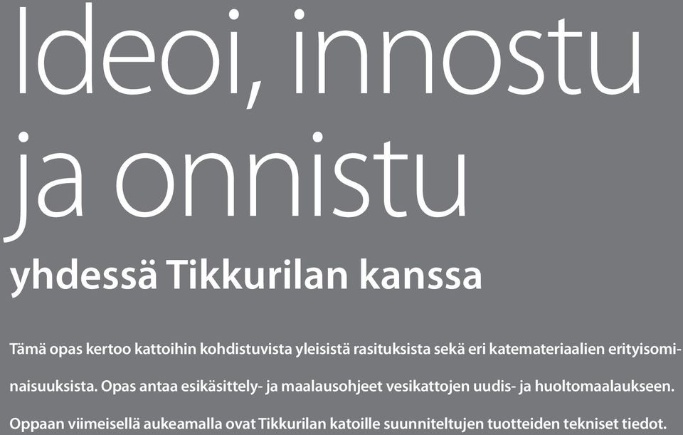 Opas antaa esikäsittely- ja maalausohjeet vesikattojen uudis- ja huoltomaalaukseen.
