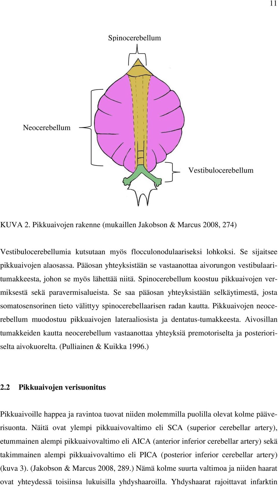 Spinocerebellum koostuu pikkuaivojen vermiksestä sekä paravermisalueista. Se saa pääosan yhteyksistään selkäytimestä, josta somatosensorinen tieto välittyy spinocerebellaarisen radan kautta.