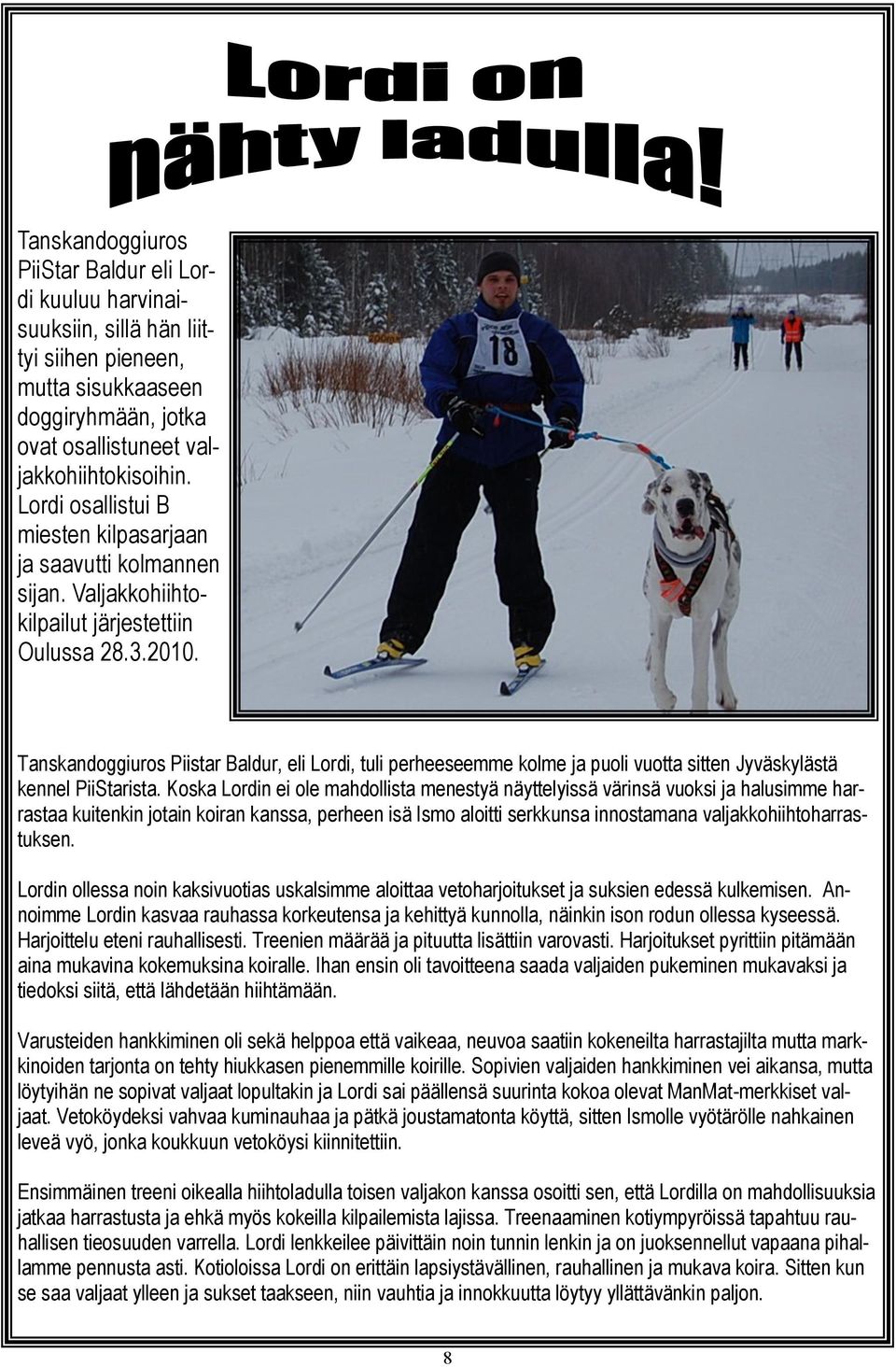 Tanskandoggiuros Piistar Baldur, eli Lordi, tuli perheeseemme kolme ja puoli vuotta sitten Jyväskylästä kennel PiiStarista.