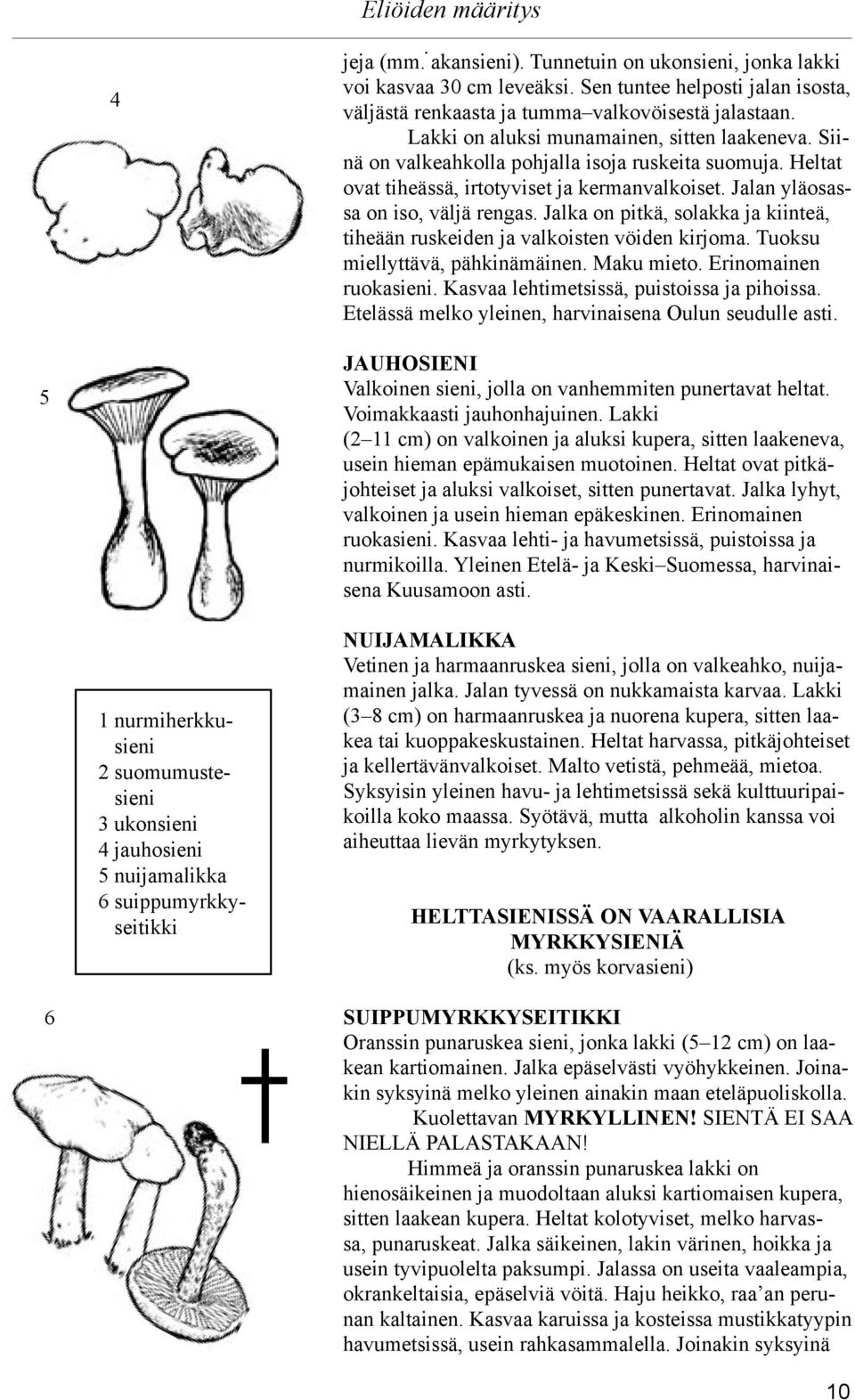 Jalka on pitkä, solakka ja kiinteä, tiheään ruskeiden ja valkoisten vöiden kirjoma. Tuoksu miellyttävä, pähkinämäinen. Maku mieto. Erinomainen ruokasieni. Kasvaa lehtimetsissä, puistoissa ja pihoissa.