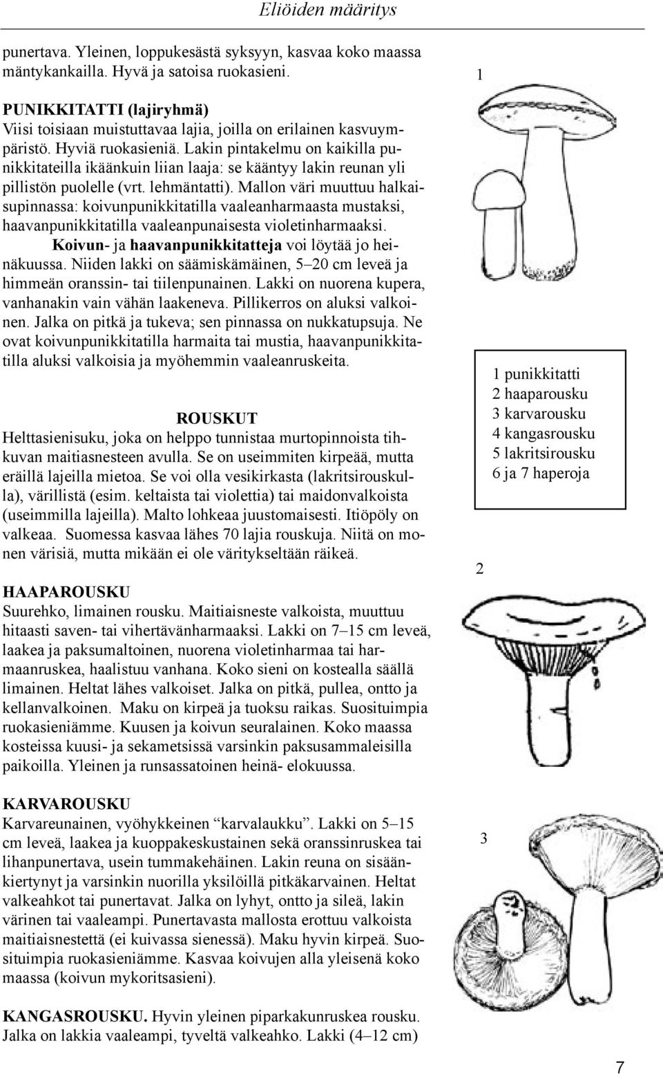 Mallon väri muuttuu halkaisupinnassa: koivunpunikkitatilla vaaleanharmaasta mustaksi, haavanpunikkitatilla vaaleanpunaisesta violetinharmaaksi.