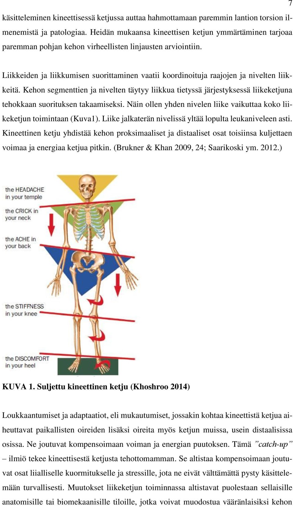 Liikkeiden ja liikkumisen suorittaminen vaatii koordinoituja raajojen ja nivelten liikkeitä.