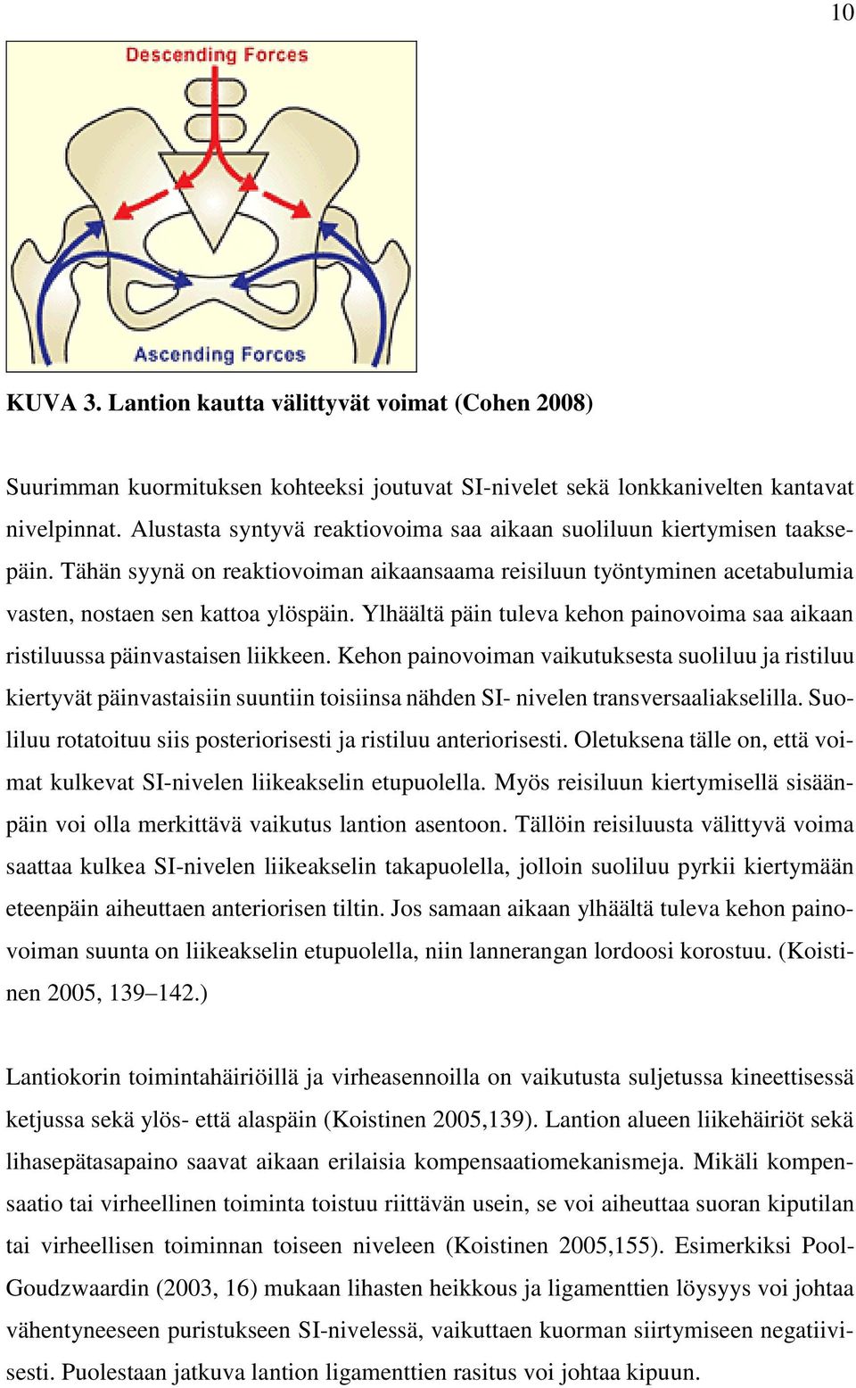 Ylhäältä päin tuleva kehon painovoima saa aikaan ristiluussa päinvastaisen liikkeen.