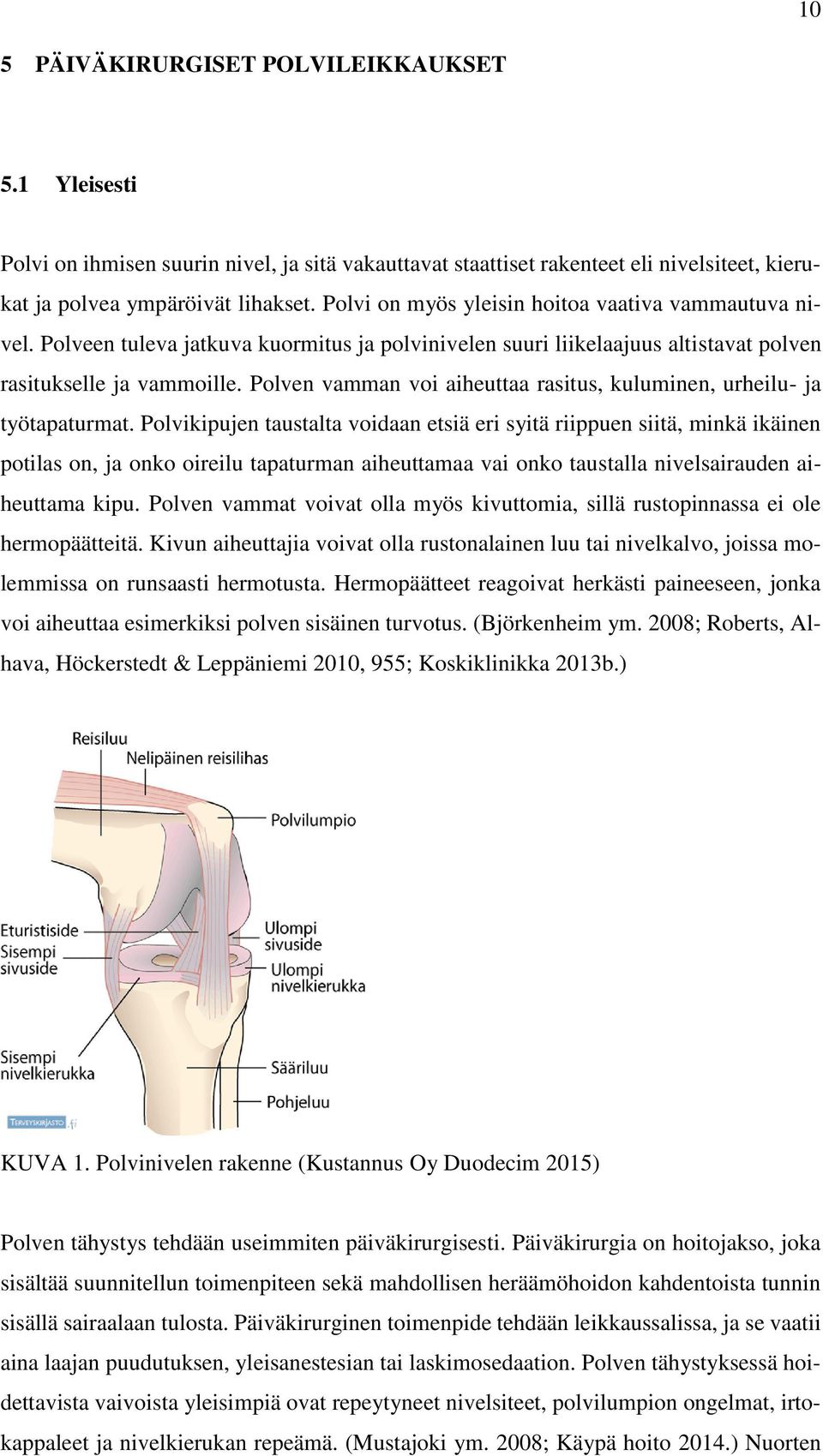 Polven vamman voi aiheuttaa rasitus, kuluminen, urheilu- ja työtapaturmat.