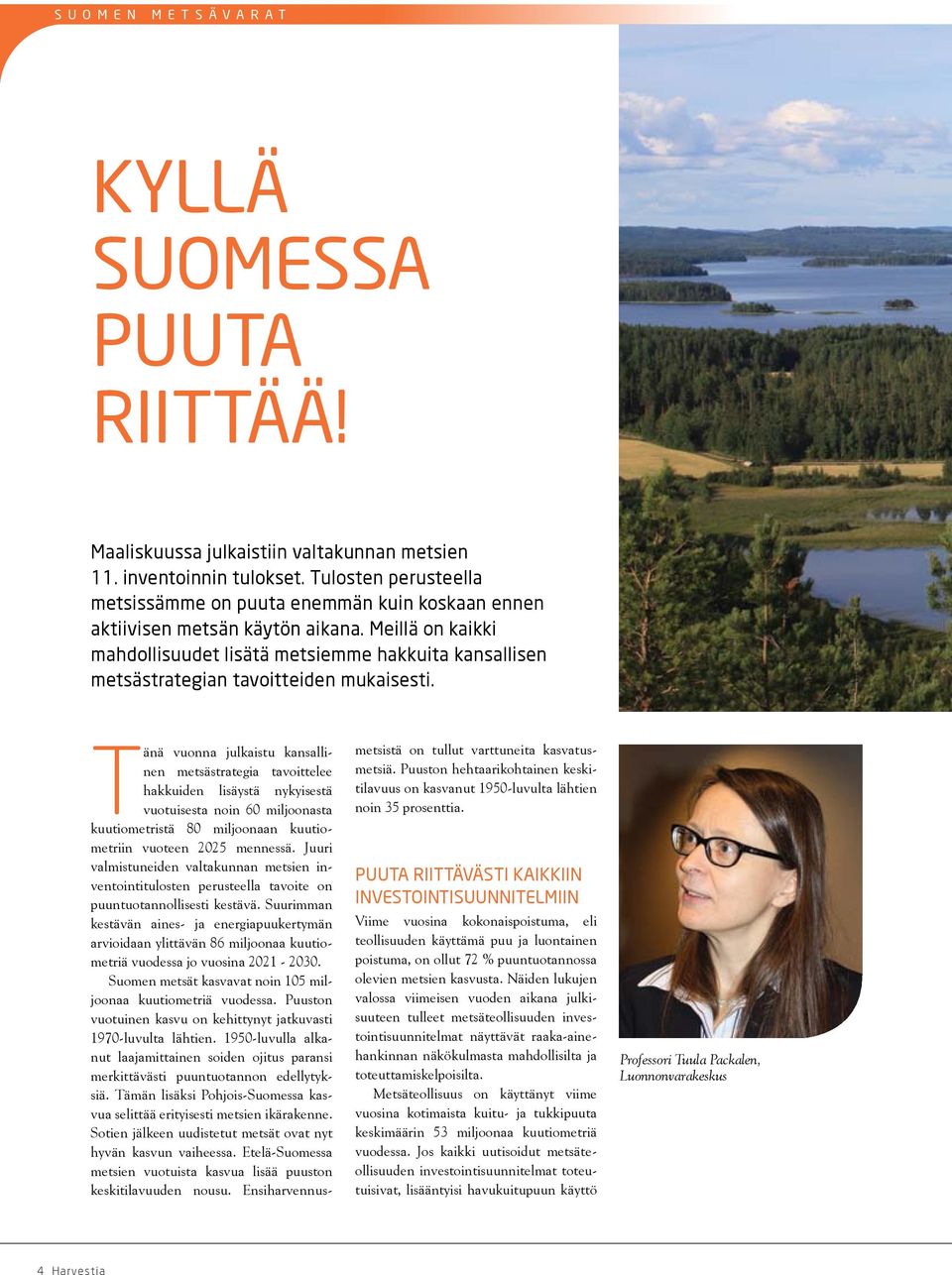 Meillä on kaikki mahdollisuudet lisätä metsiemme hakkuita kansallisen metsästrategian tavoitteiden mukaisesti.