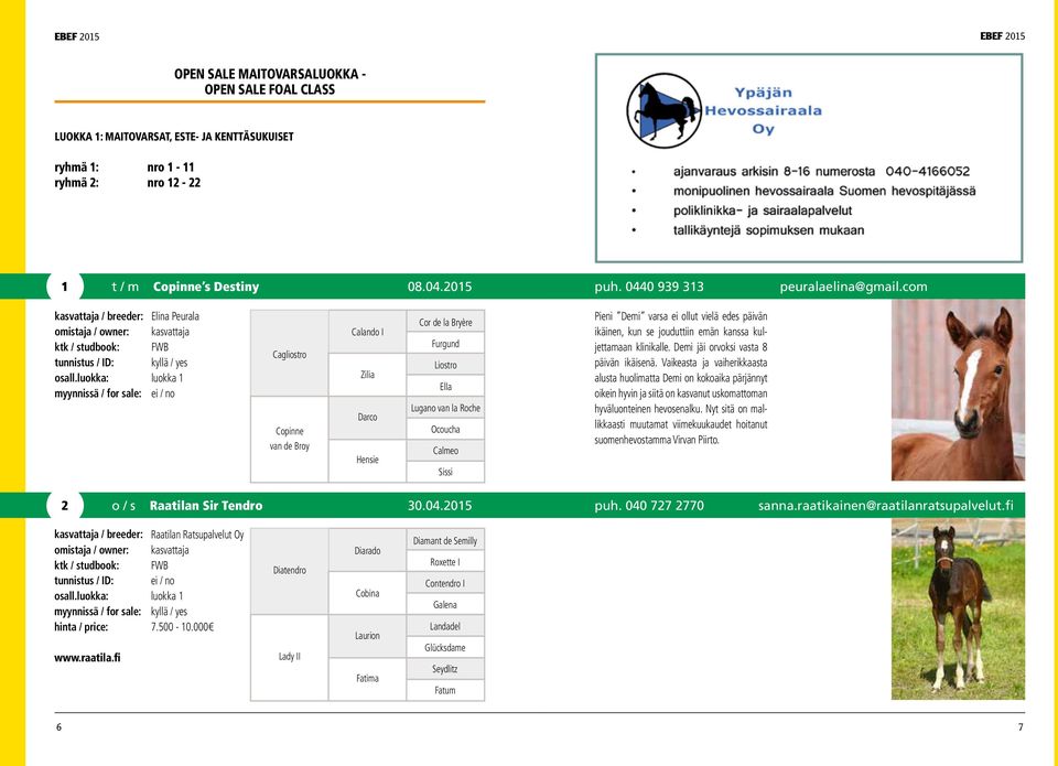 com kasvattaja / breeder: Elina Peurala Cagliostro Copinne van de Broy Calando I Zilia Darco Hensie Cor de la Bryère Furgund Liostro Ella Lugano van la Roche Ocoucha Calmeo Sissi Pieni Demi varsa ei