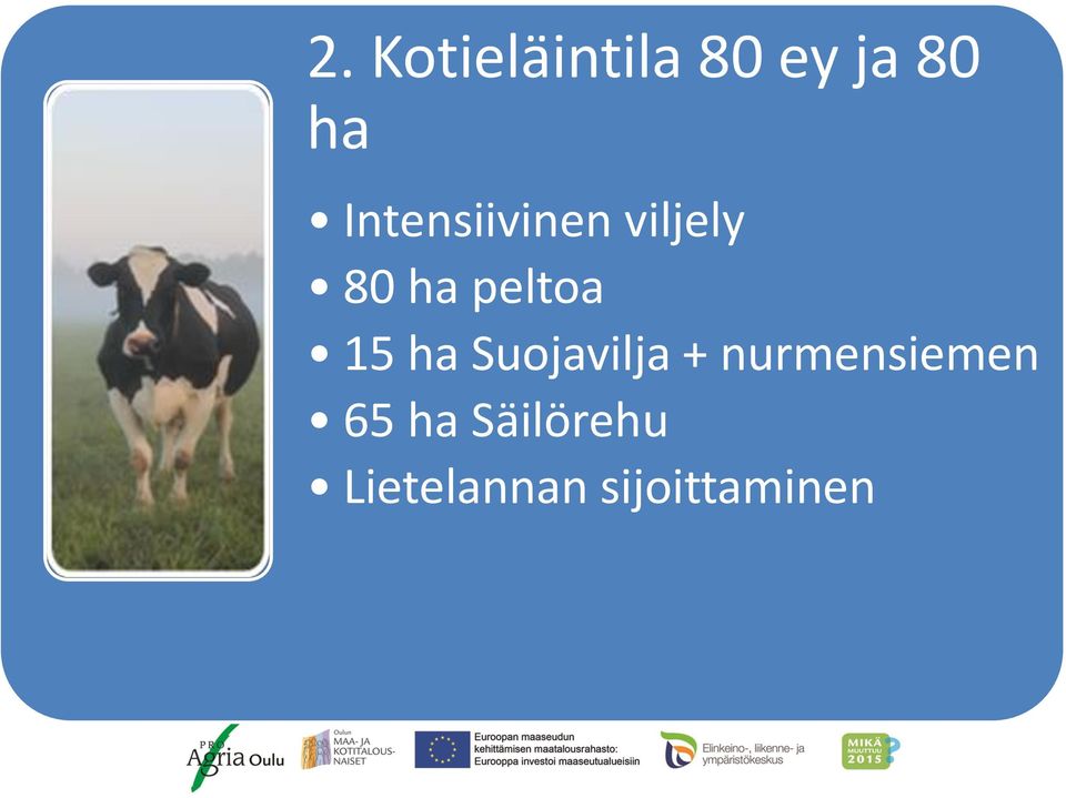 15 ha Suojavilja + nurmensiemen 65