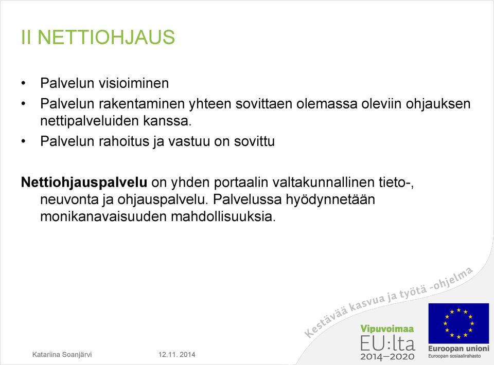 Palvelun rahoitus ja vastuu on sovittu Nettiohjauspalvelu on yhden portaalin