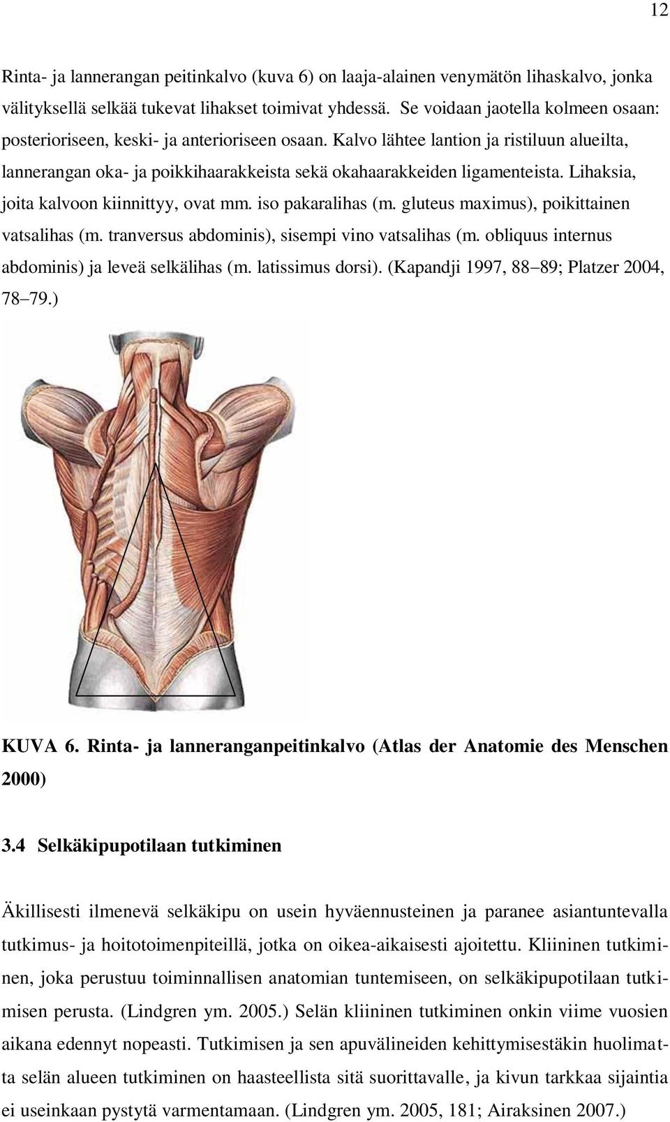 Lihaksia, joita kalvoon kiinnittyy, ovat mm. iso pakaralihas (m. gluteus maximus), poikittainen vatsalihas (m. tranversus abdominis), sisempi vino vatsalihas (m.