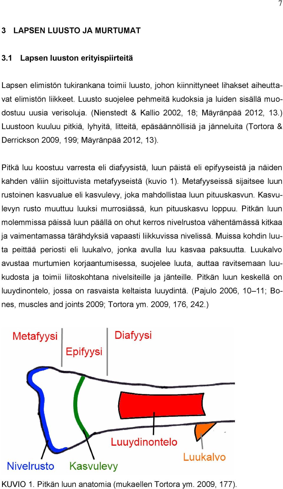 ) Luustoon kuuluu pitkiä, lyhyitä, litteitä, epäsäännöllisiä ja jänneluita (Tortora & Derrickson 2009, 199; Mäyränpää 2012, 13).