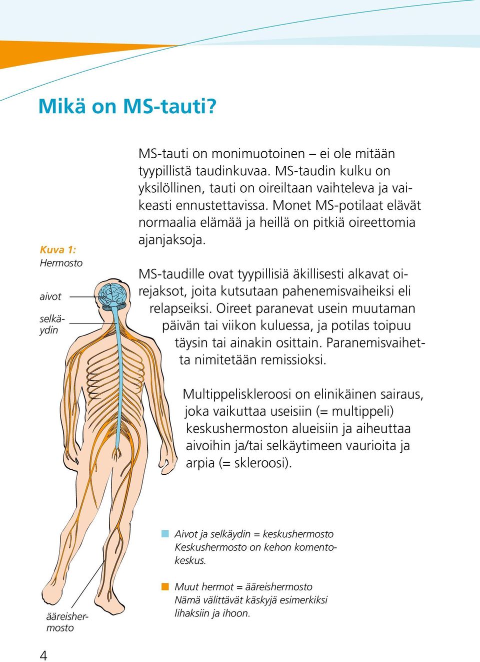 MS-taudille ovat tyypillisiä äkillisesti alkavat oirejaksot, joita kutsutaan pahenemisvaiheiksi eli relapseiksi.