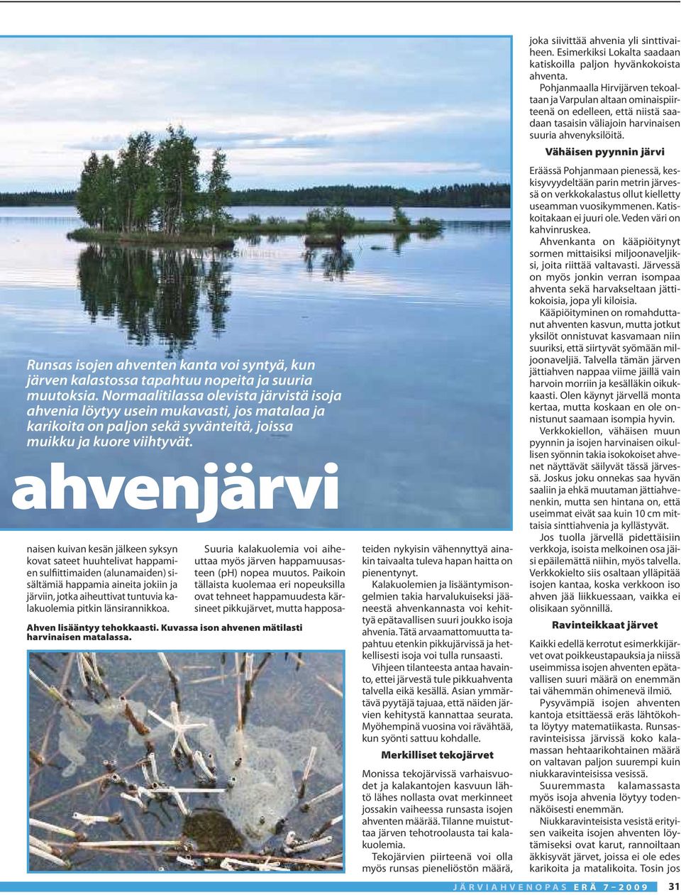 ahvenjärvi naisen kuivan kesän jälkeen syksyn kovat sateet huuhtelivat happamien sulfiittimaiden (alunamaiden) sisältämiä happamia aineita jokiin ja järviin, jotka aiheuttivat tuntuvia kalakuolemia