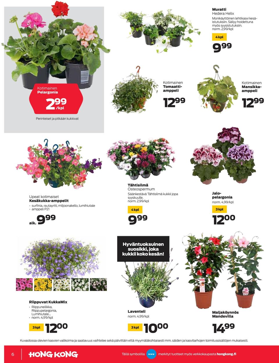 lumihiutale amppeli P21 alk.9 99 Tähtisilmä Osteospermum Säänkestävä Tähtisilmä kukkii jopa syyskuulle. norm. 2,99/kpl 4 kpl 99 9 Jalopelargonia norm.