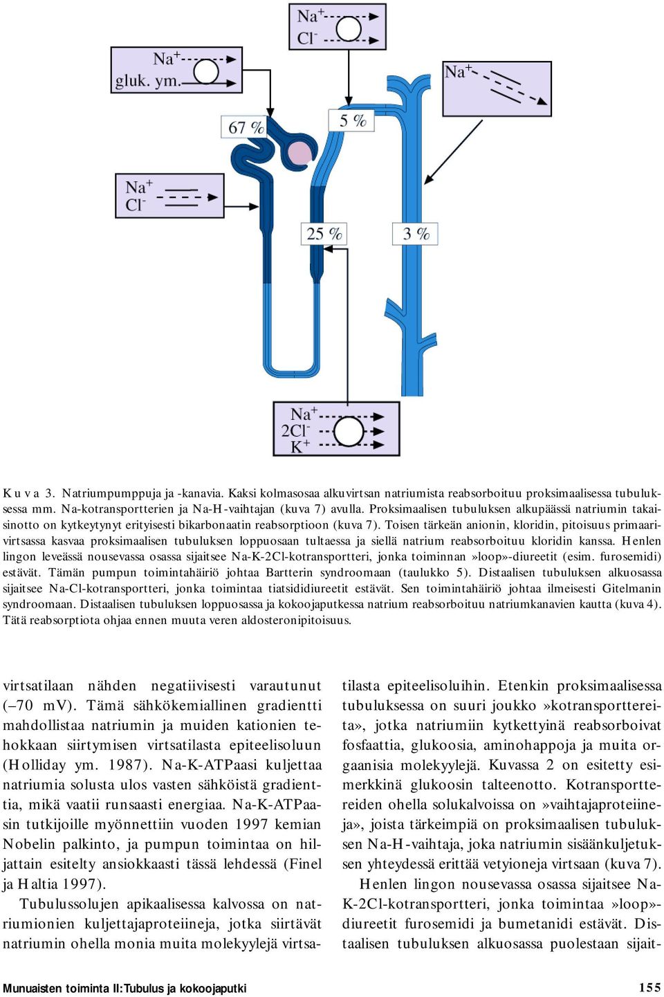 Toisen tärkeän anionin, kloridin, pitoisuus primaarivirtsassa kasvaa proksimaalisen tubuluksen loppuosaan tultaessa ja siellä natrium reabsorboituu kloridin kanssa.