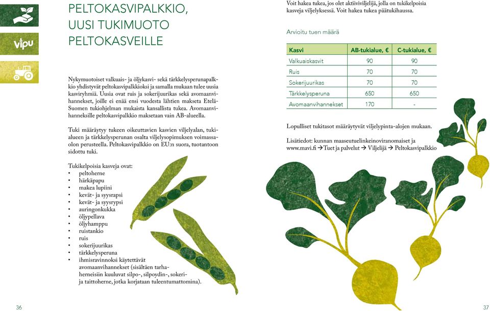 Avomaanvihanneksille peltokasvipalkkio maksetaan vain AB-alueella.