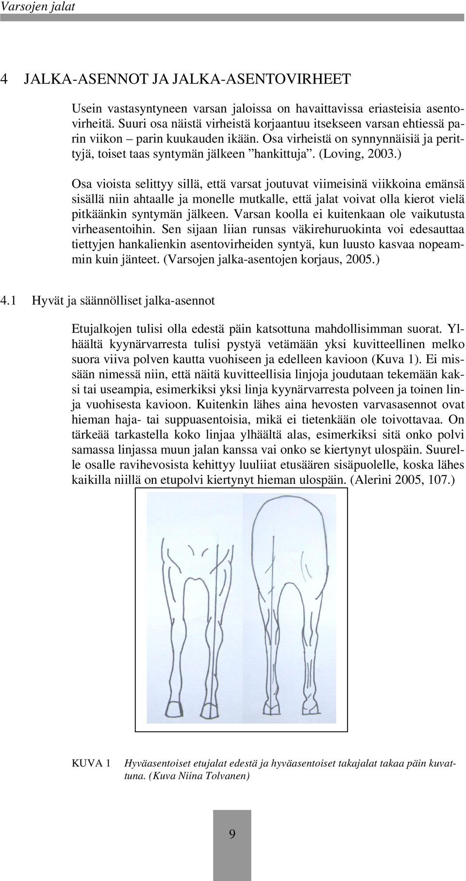) Osa vioista selittyy sillä, että varsat joutuvat viimeisinä viikkoina emänsä sisällä niin ahtaalle ja monelle mutkalle, että jalat voivat olla kierot vielä pitkäänkin syntymän jälkeen.