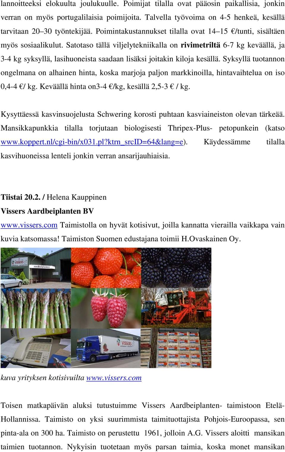 Satotaso tällä viljelytekniikalla on rivimetriltä 6-7 kg keväällä, ja 3-4 kg syksyllä, lasihuoneista saadaan lisäksi joitakin kiloja kesällä.