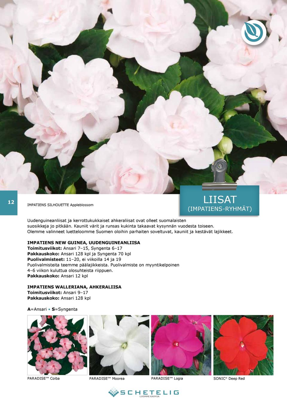 IMPATIENS NEW GUINEA, UUDENGUINEANLIISA Toimitusviikot: Ansari 7 15, Syngenta 6 17 Pakkauskoko: Ansari 128 kpl ja Syngenta 70 kpl Puolivalmisteet: 11 20, ei viikoilla 14 ja 19 Puolivalmisteita teemme